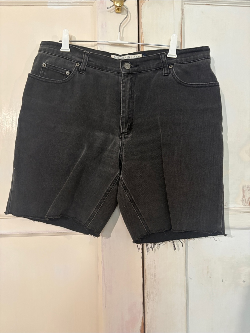 Mountain Lake Black Raw-Hem Denim Shorts
